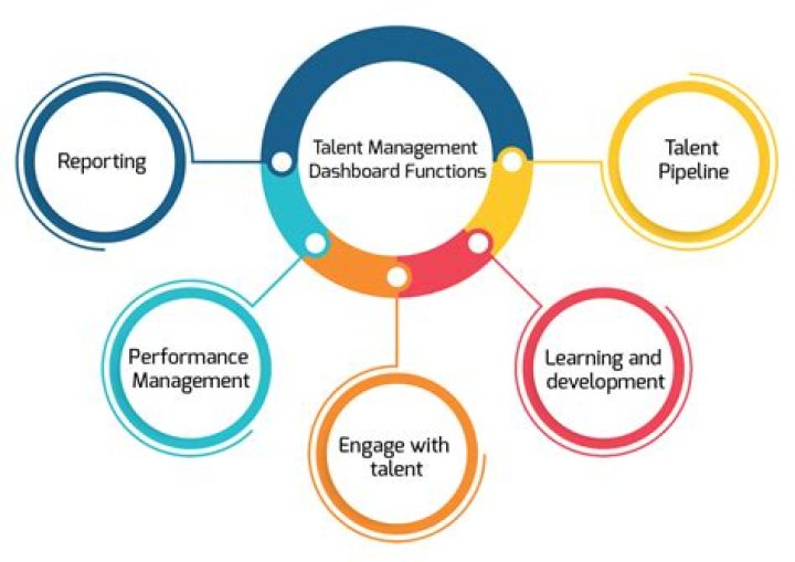 A Journey Into Talent, Versatility, And Success