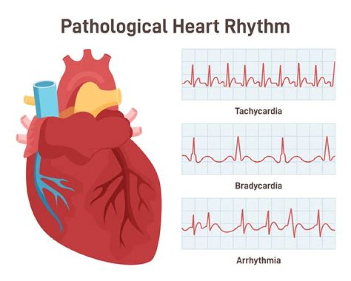 A Journey Of Rhythm And Heart