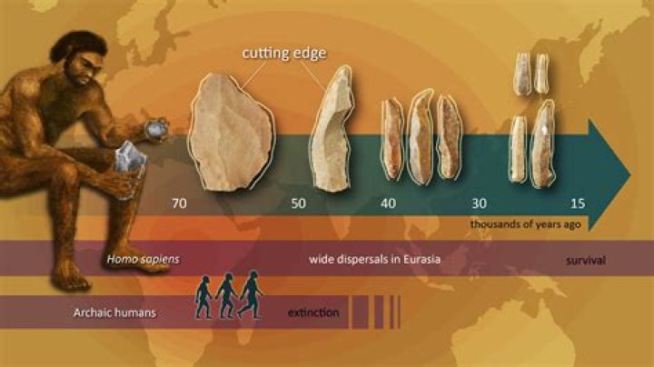 Age, Evolution, And Untold Insights