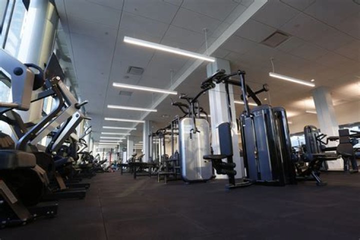 Discoveries And Insights For Optimal Fitness