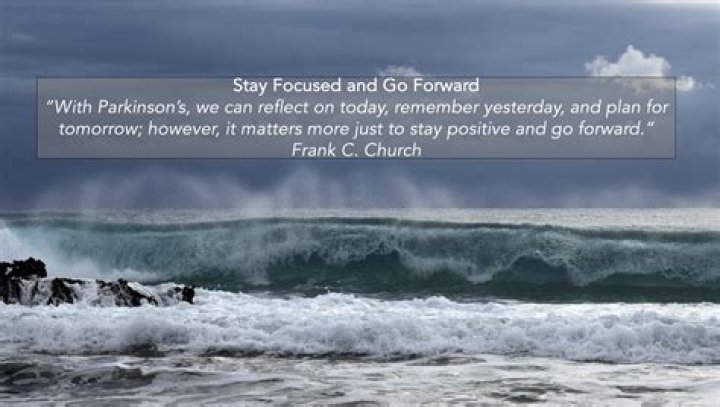 Discoveries From "Stay Focused Frank"