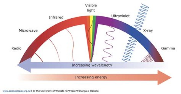 Unveiling The Allure Of Ultraviolet Darlings: Discoveries And Insights
