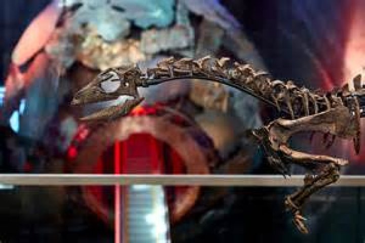 Unveiling The Enigma Of "Goddess Angelina": Discoveries And Insights