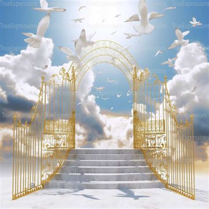 Unveiling The Enigmatic Legends Of Heavens Gate Band